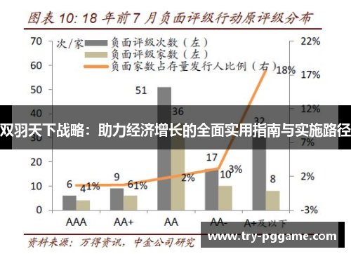 双羽天下战略：助力经济增长的全面实用指南与实施路径