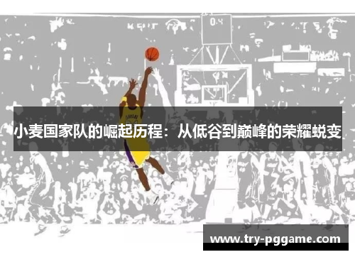 小麦国家队的崛起历程：从低谷到巅峰的荣耀蜕变