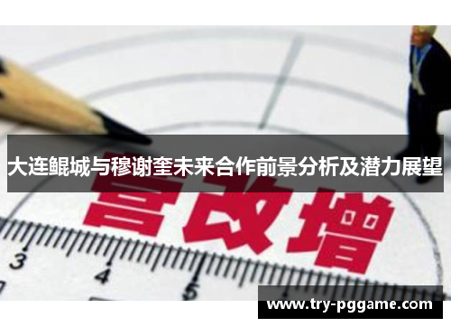 大连鲲城与穆谢奎未来合作前景分析及潜力展望