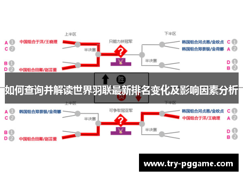 如何查询并解读世界羽联最新排名变化及影响因素分析