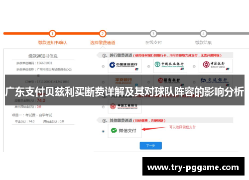 广东支付贝兹利买断费详解及其对球队阵容的影响分析