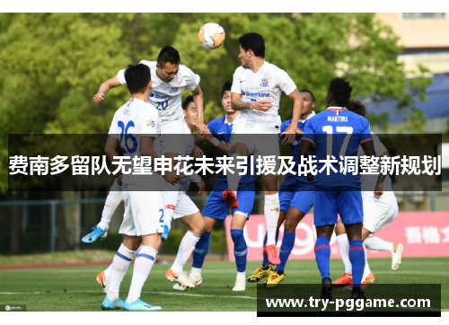 费南多留队无望申花未来引援及战术调整新规划 费南多留队无望申花未来引援及战术调整新规划