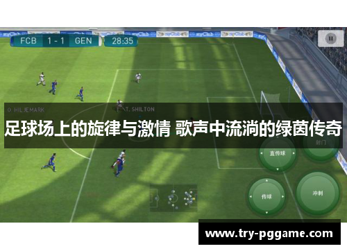 足球场上的旋律与激情 歌声中流淌的绿茵传奇
