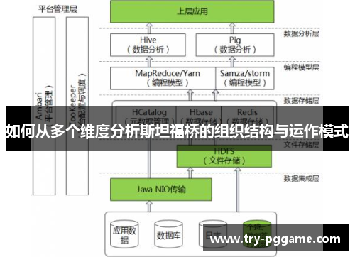 如何从多个维度分析斯坦福桥的组织结构与运作模式