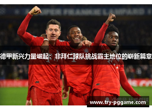 德甲新兴力量崛起：非拜仁球队挑战霸主地位的崭新篇章