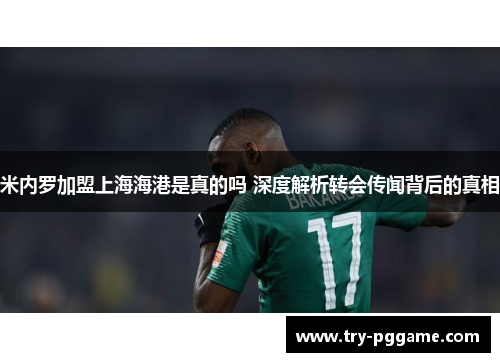 米内罗加盟上海海港是真的吗 深度解析转会传闻背后的真相