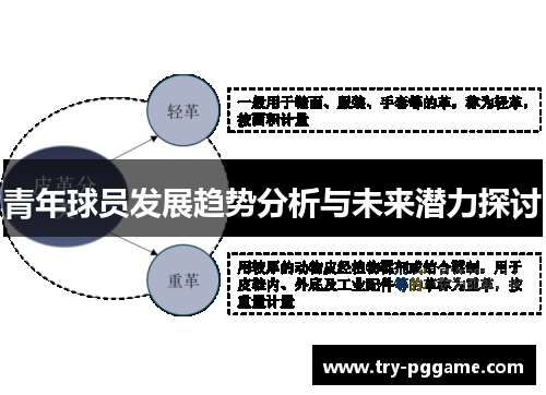 青年球员发展趋势分析与未来潜力探讨 青年球员发展趋势分析与未来潜力探讨