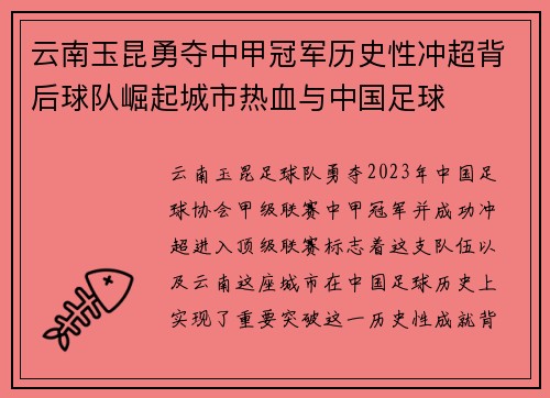 云南玉昆勇夺中甲冠军历史性冲超背后球队崛起城市热血与中国足球 云南玉昆勇夺中甲冠军历史性冲超背后球队崛起城市热血与中国足球